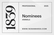 Nominee 1839 Awards Color Photography Awards 2025 - Animals category
